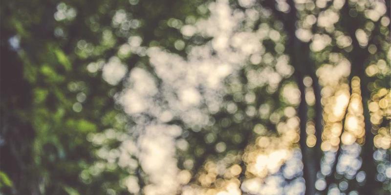 工程机械租赁新选择：揭秘浩海机械二手设备再制造的核心流程与标准