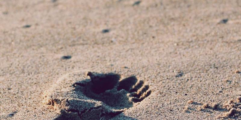 浩海机械10：工业设备销售领域的起重机解决方案专家