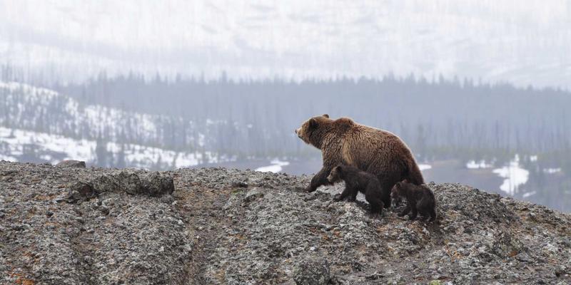浩海机械25年深耕：以重型设备与起重机解决方案引领工业设备销售新标杆