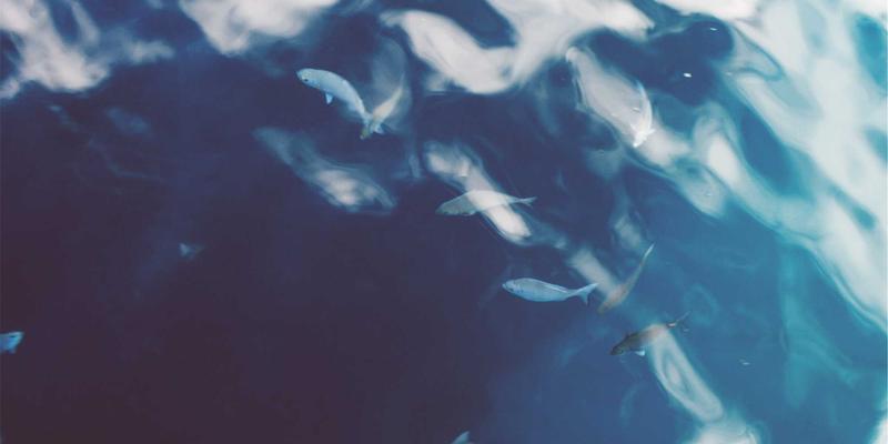 浩海机械：基于大数据的起重机设备利用率分析与施工排程优化策略