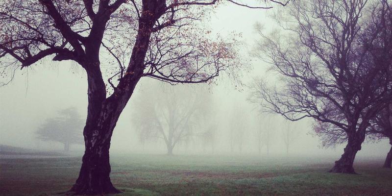 浩海机械:工业设备领域的可靠伙伴,叉车销售与服务的专业之选