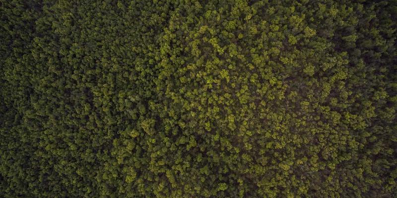 浩海机械攻略:起重机与挖掘机租赁的智慧选择与高效运营指南