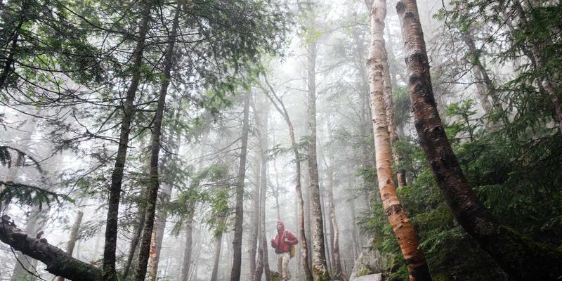 浩海机械智能远程监控系统：起重机安全管理与挖掘机租赁行业的革命性升级