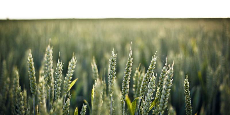 浩海机械物联网平台：如何通过数据挖掘实现叉车预测性维护与机队效率革命