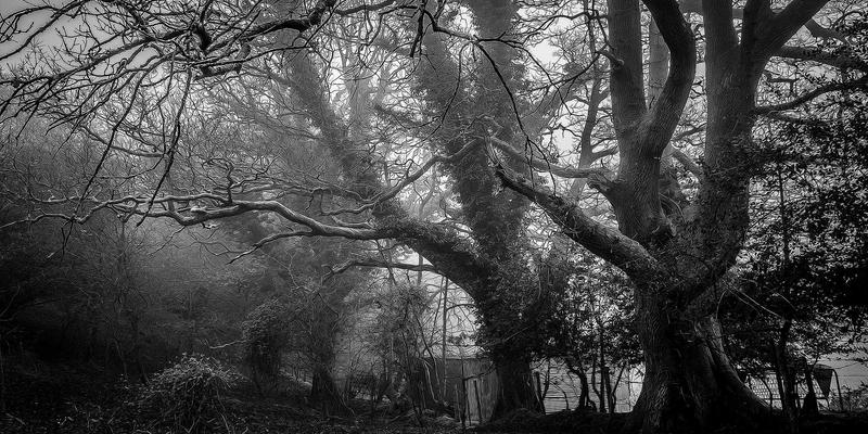 浩海机械：矿山设备领域的创新先锋，起重机与挖掘机租赁服务的卓越实践