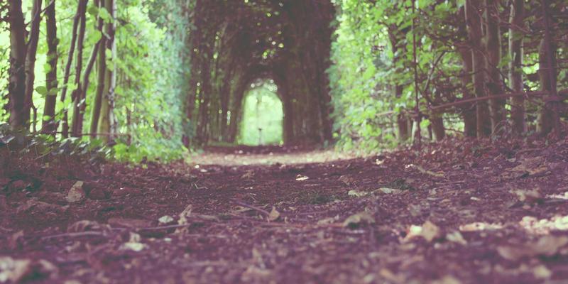 浩海机械趋势洞察：叉车与工程机械租赁市场的变革与机遇