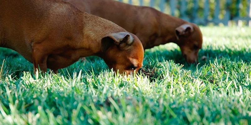 选购浩海机械破碎机必看：决定工程机械租赁效益的五大核心参数